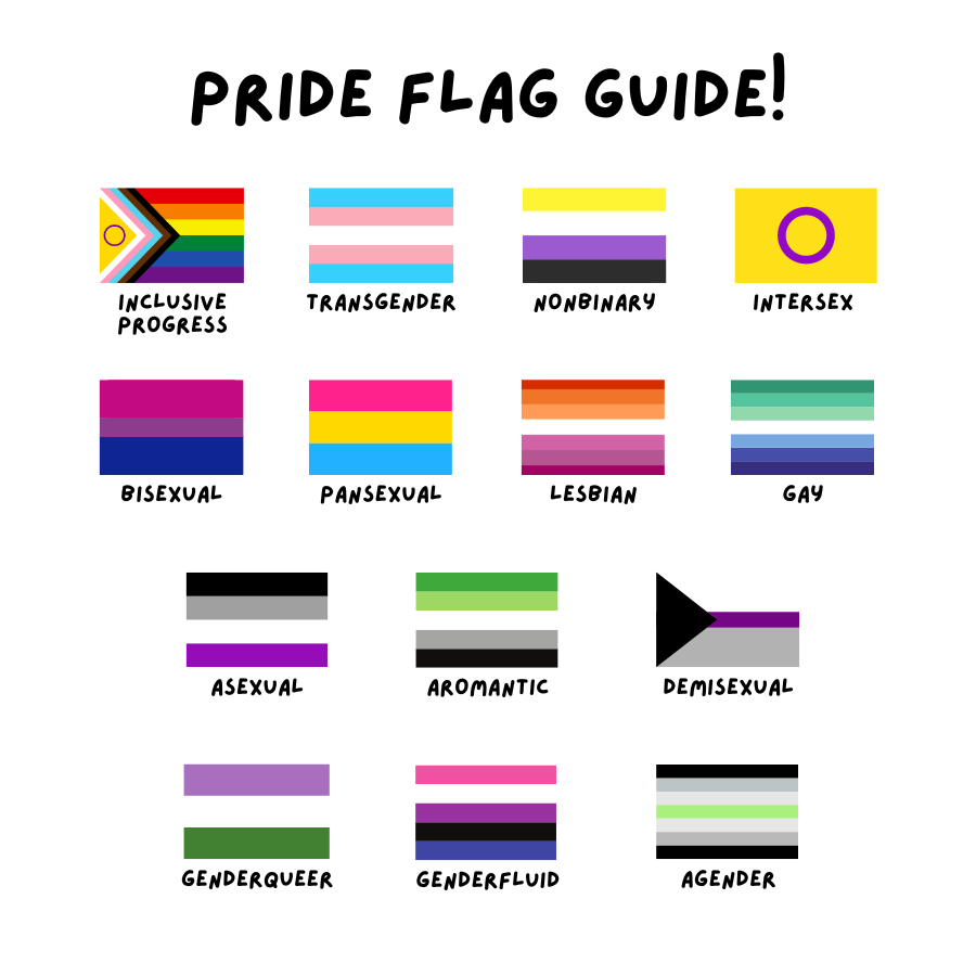 A guide to the pride flags featuring examples of the inclusive progress pride flag, transgender flag, nonbinary flag, intersex flag, bisexual flag, pansexual flag, lesbian flag, gay flag, asexual flag, aromantic flag, demisexual flag, genderqueer flag, genderfluid flag and agender flag.