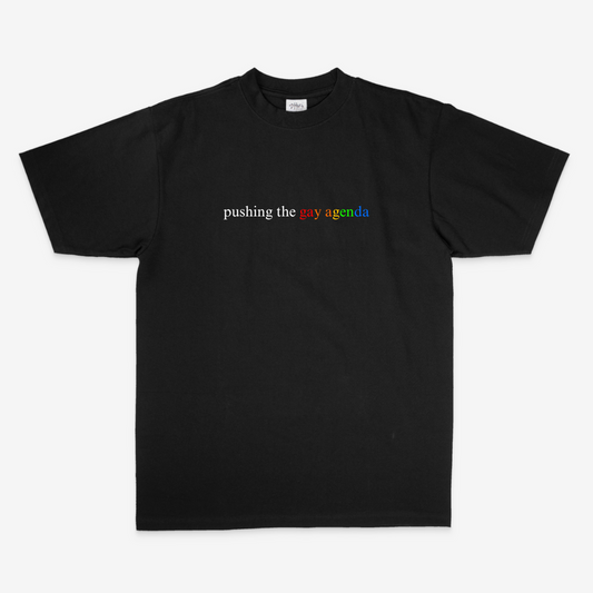 mockup of Black tee with white & rainbow thread. embroidered on the tshirt is "pushing the gay agenda." Pushing the is embroidered in white thread and "gay agenda" is in multi-colored thread similar to a rainbow.