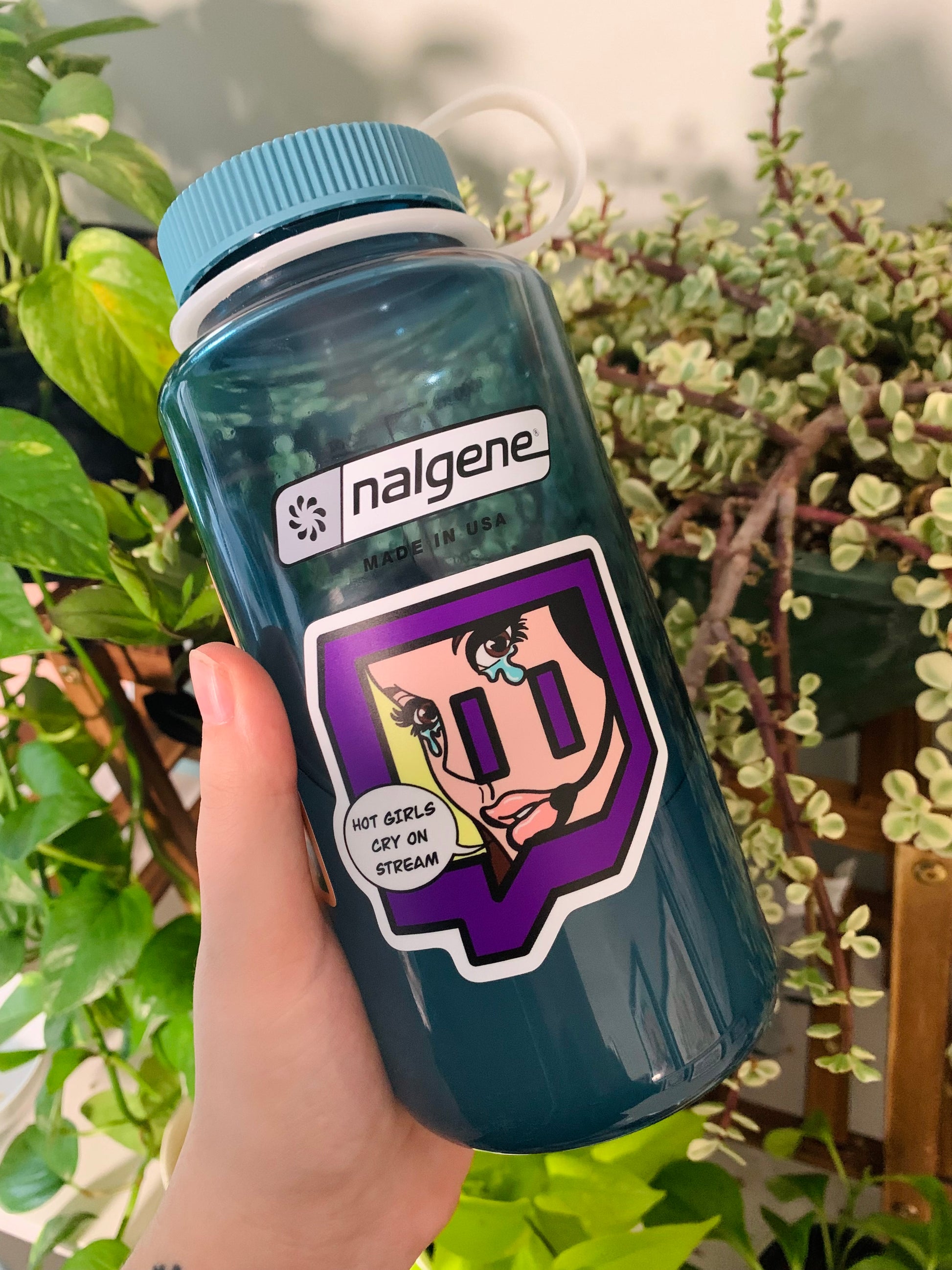 The hot girls cry on stream sticker, featured on a blue nalgene water bottle in front of some houseplants.